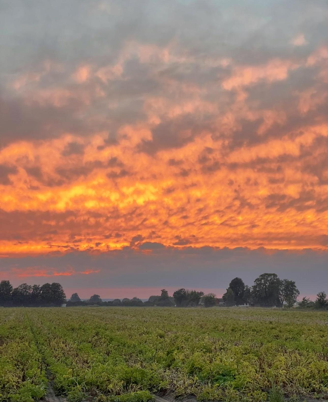 Lunagarden Åhus Zewnętrze zdjęcie